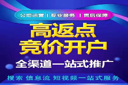 百度SEO推广公司案例精选：揭秘关键词优化策略